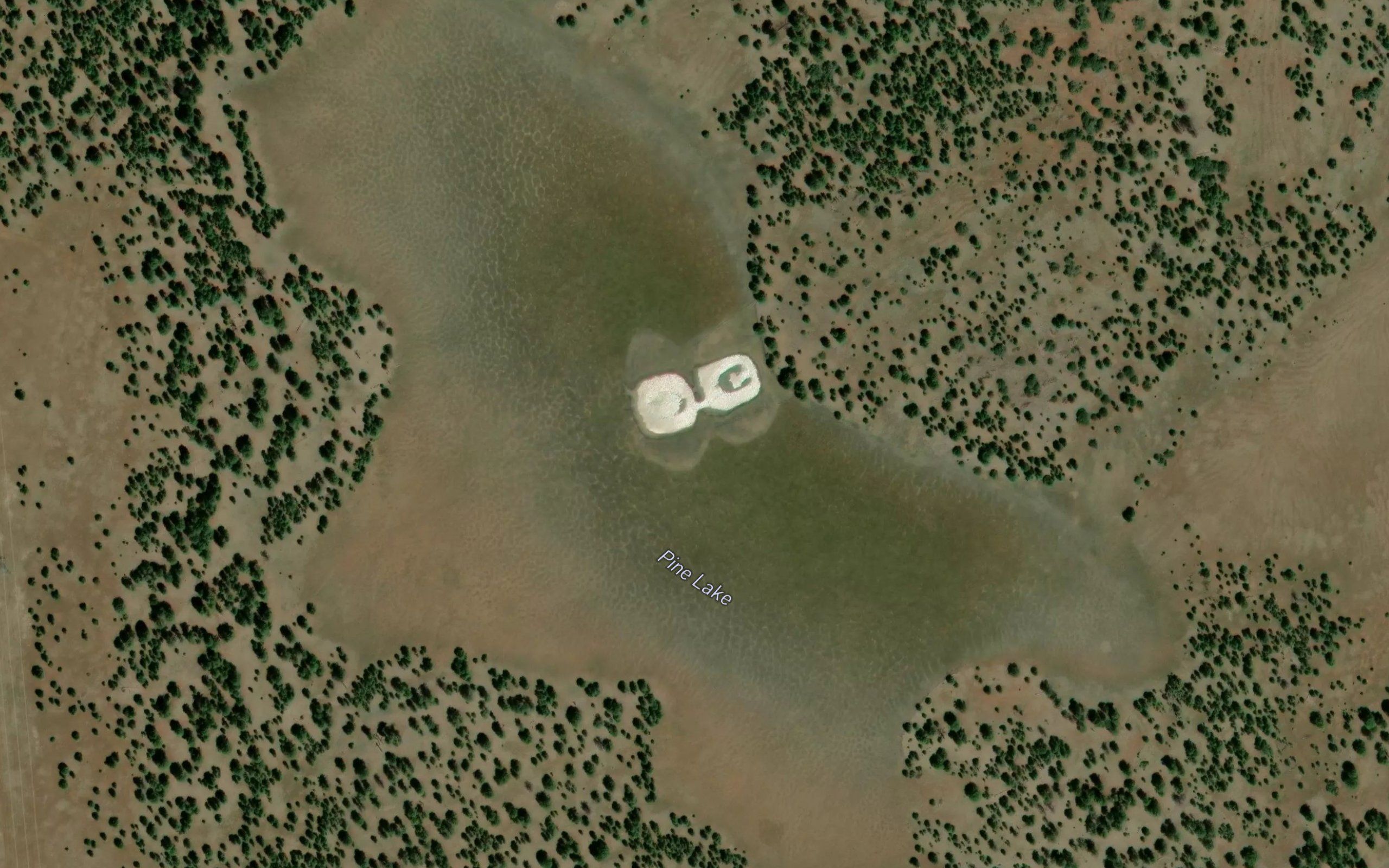 Pine Lake