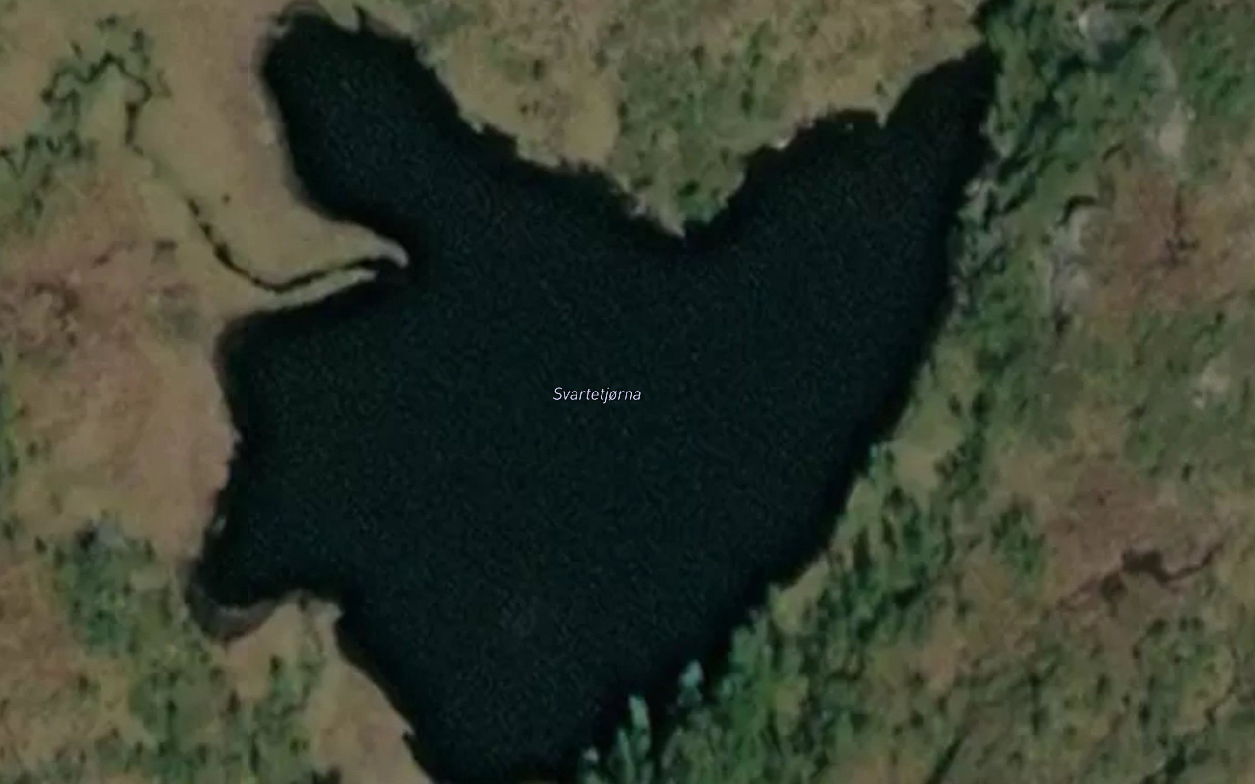 Svartetjorn