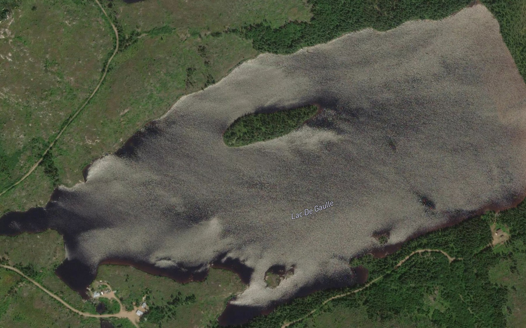 Satellite map of the Lac De Gaulle