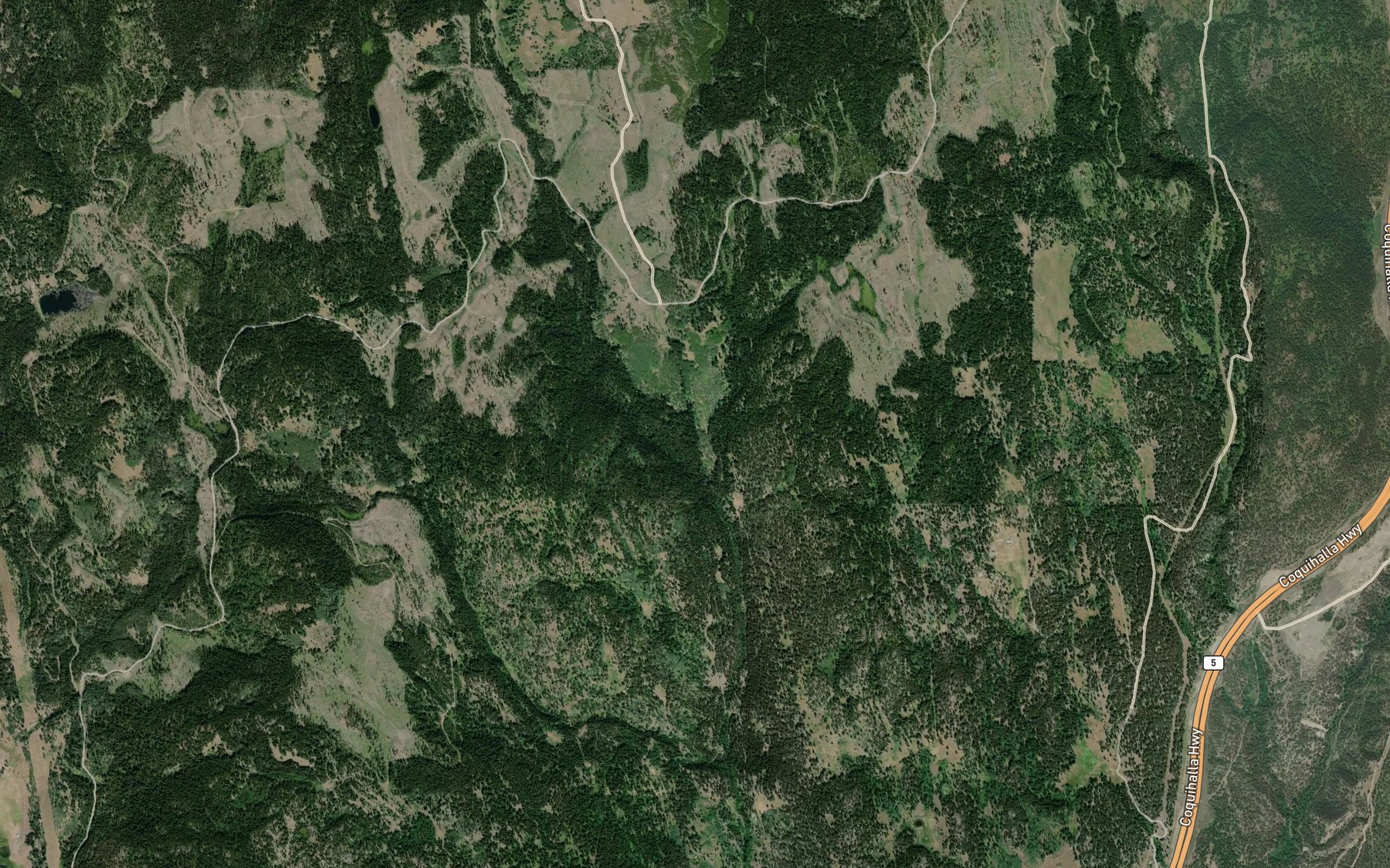 Satellite map of the Betty Creek