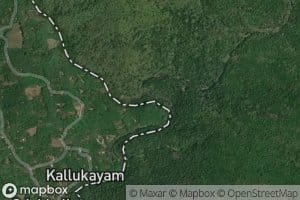 Kurudania Kolli