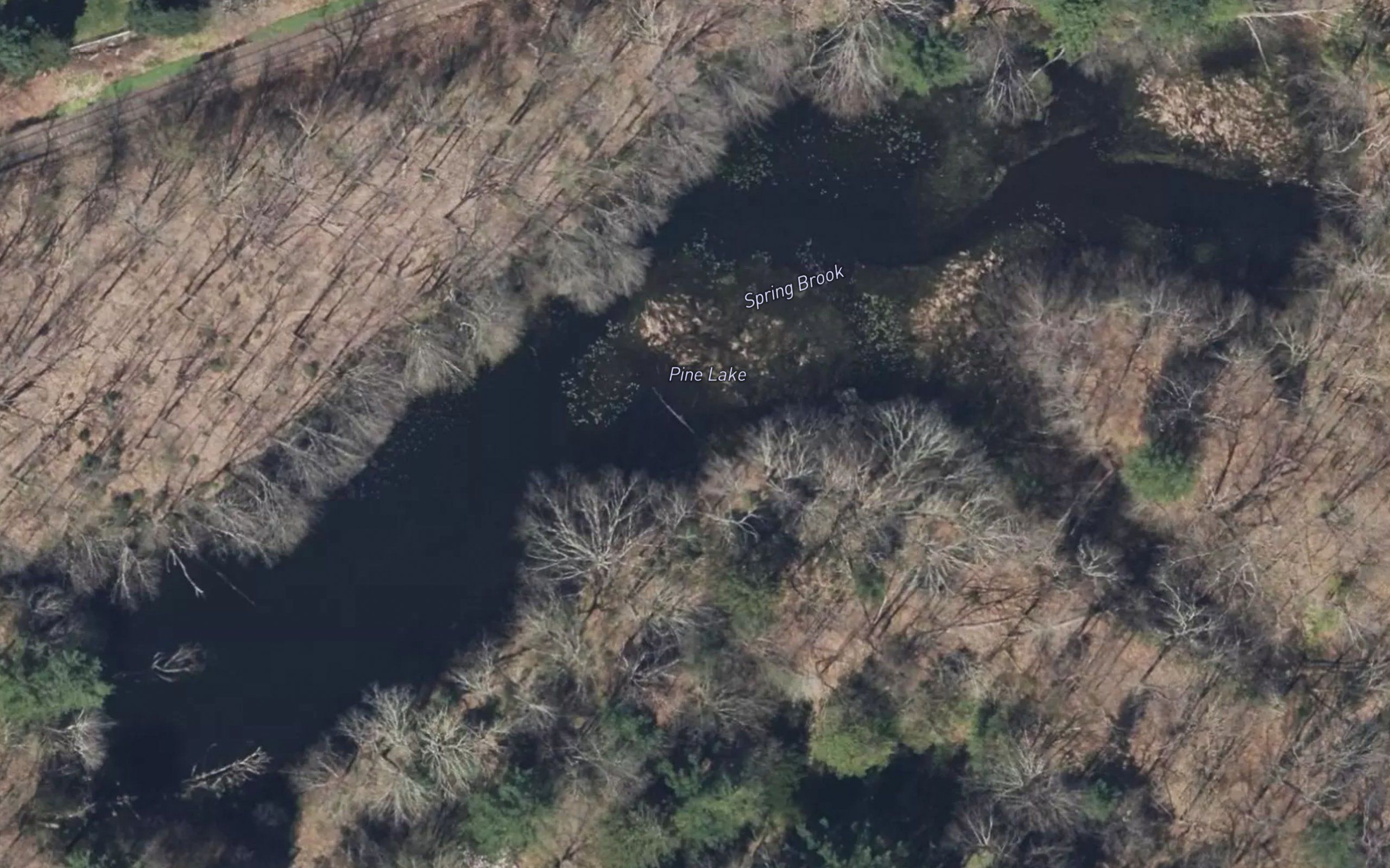 Pine Lake