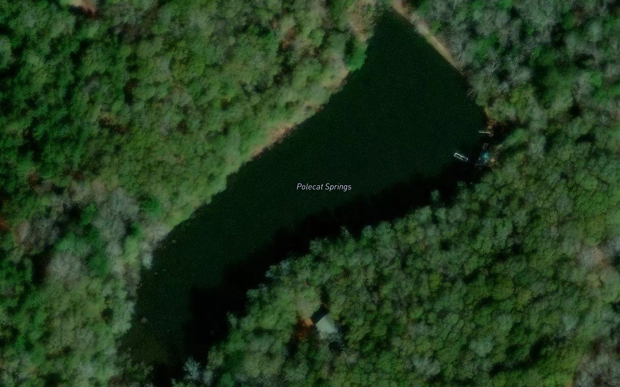 Polecat Springs