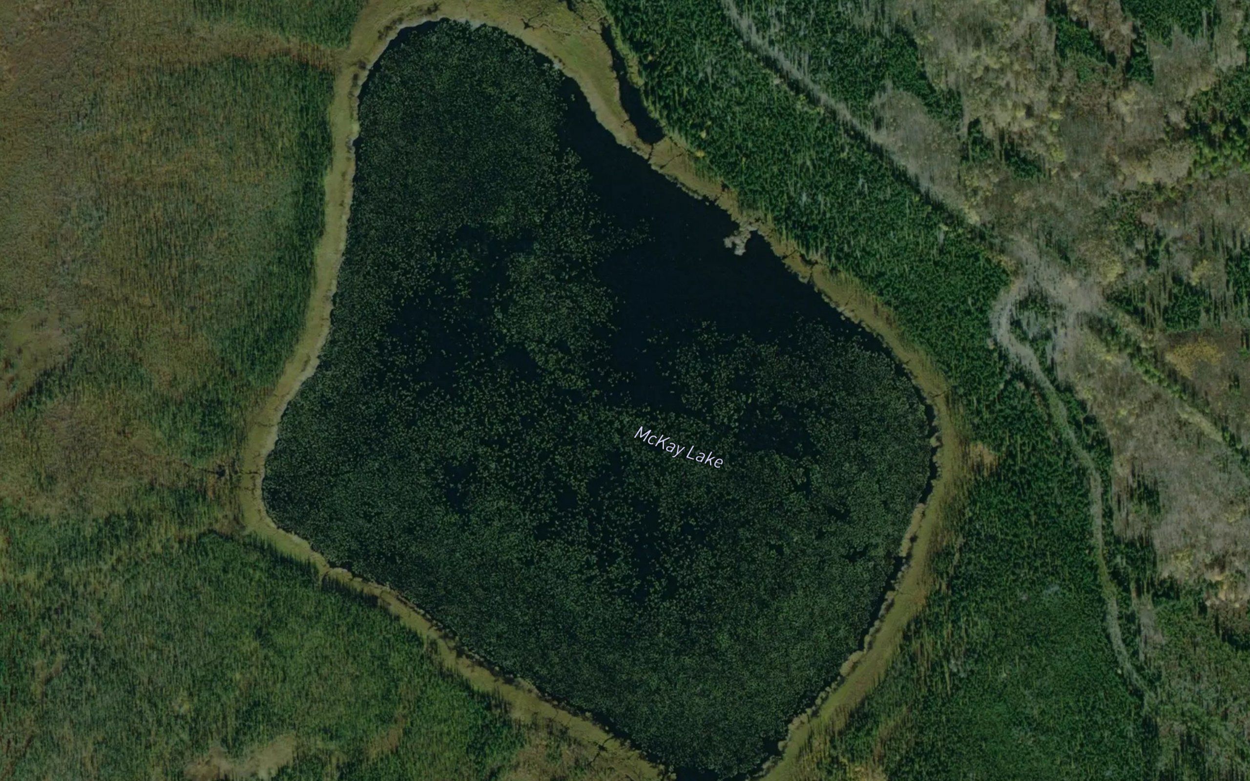 McKay Lake