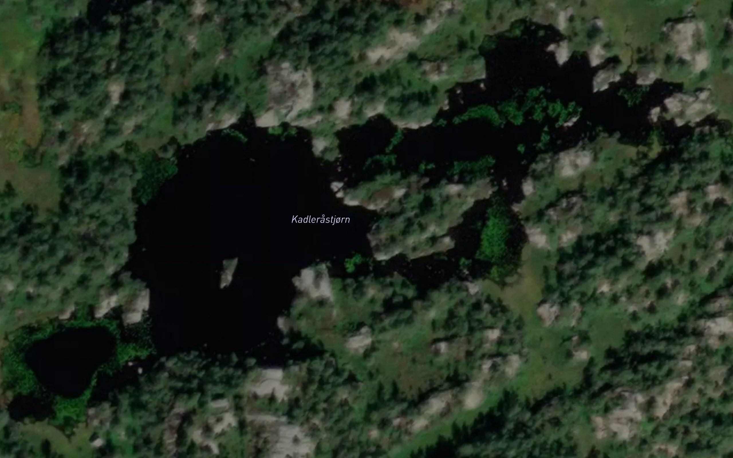 Kadlerastjorn