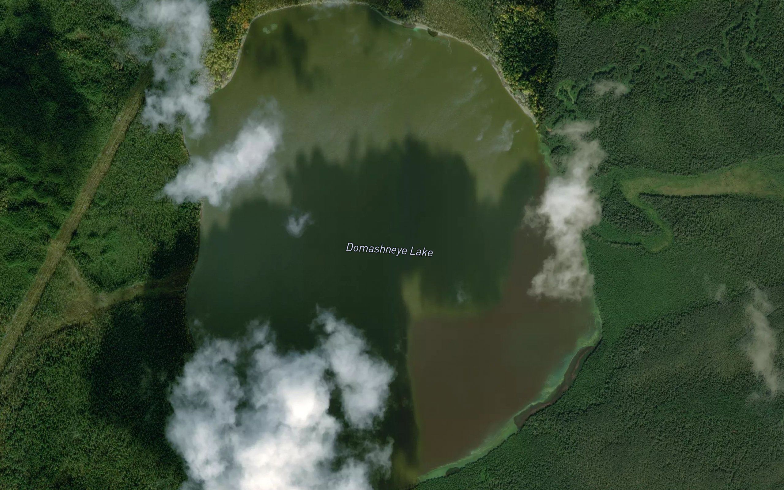 Ozero Domashneye