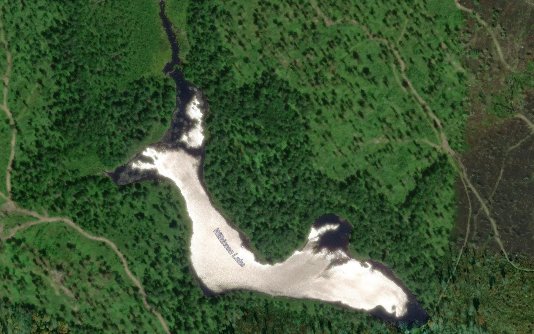 Satellite map of the Wilkinson Lake