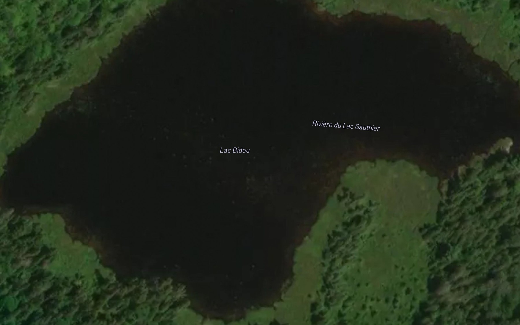 Satellite map of the Lac Bidou