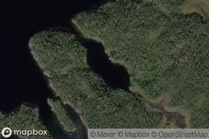 Petajasaarenjarvikainen