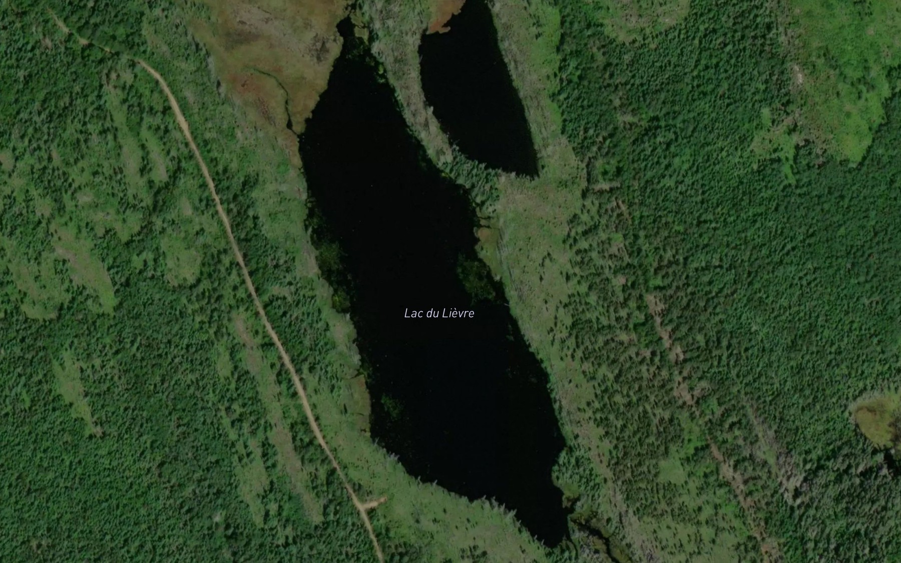 Satellite map of the Lac du Lievre