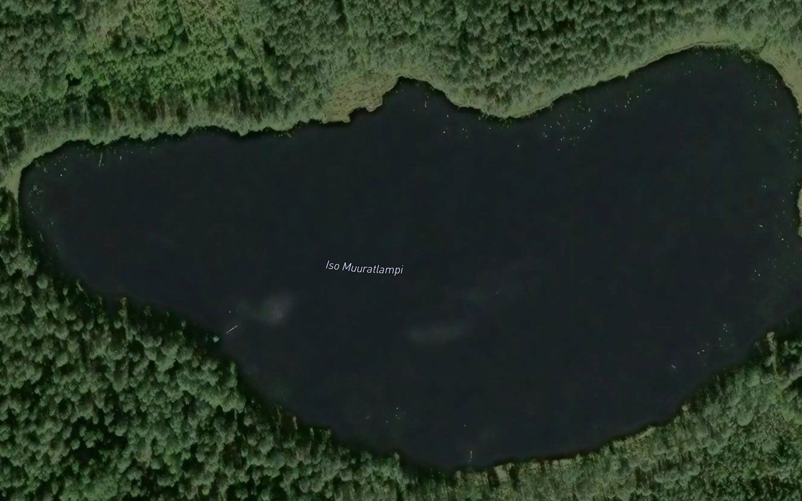 Iso Muuratlampi