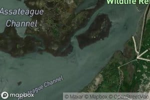 Little Morris Island Creek