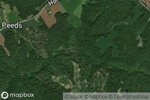 Beaverdam Creek