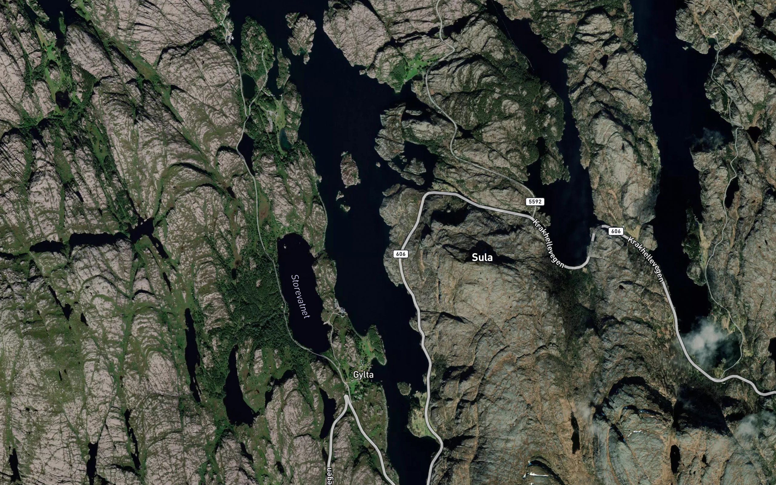 Skutevika