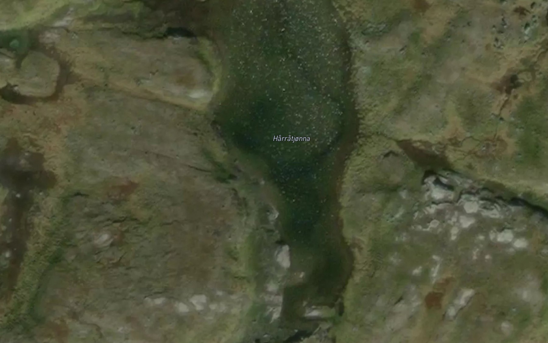 Satellite map of the Harratjonna