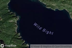 Wild Bight