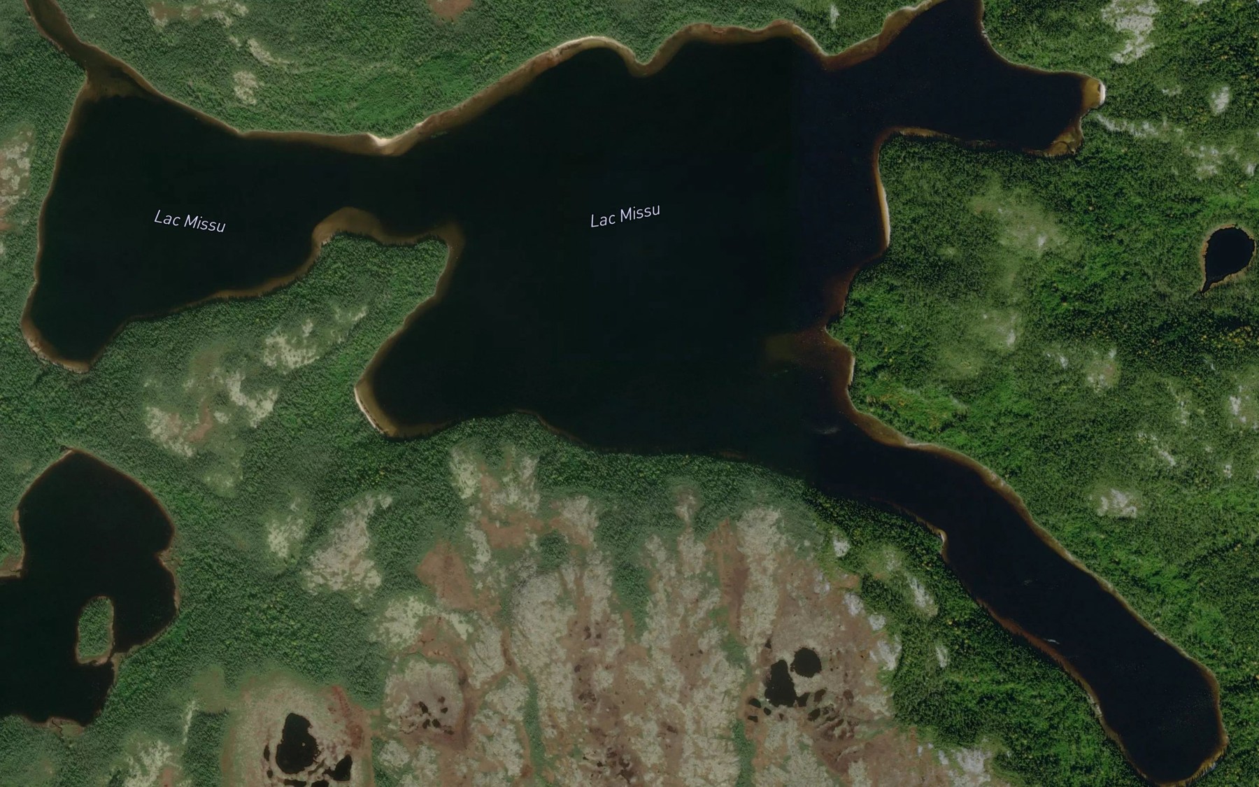 Satellite map of the Lac Missu