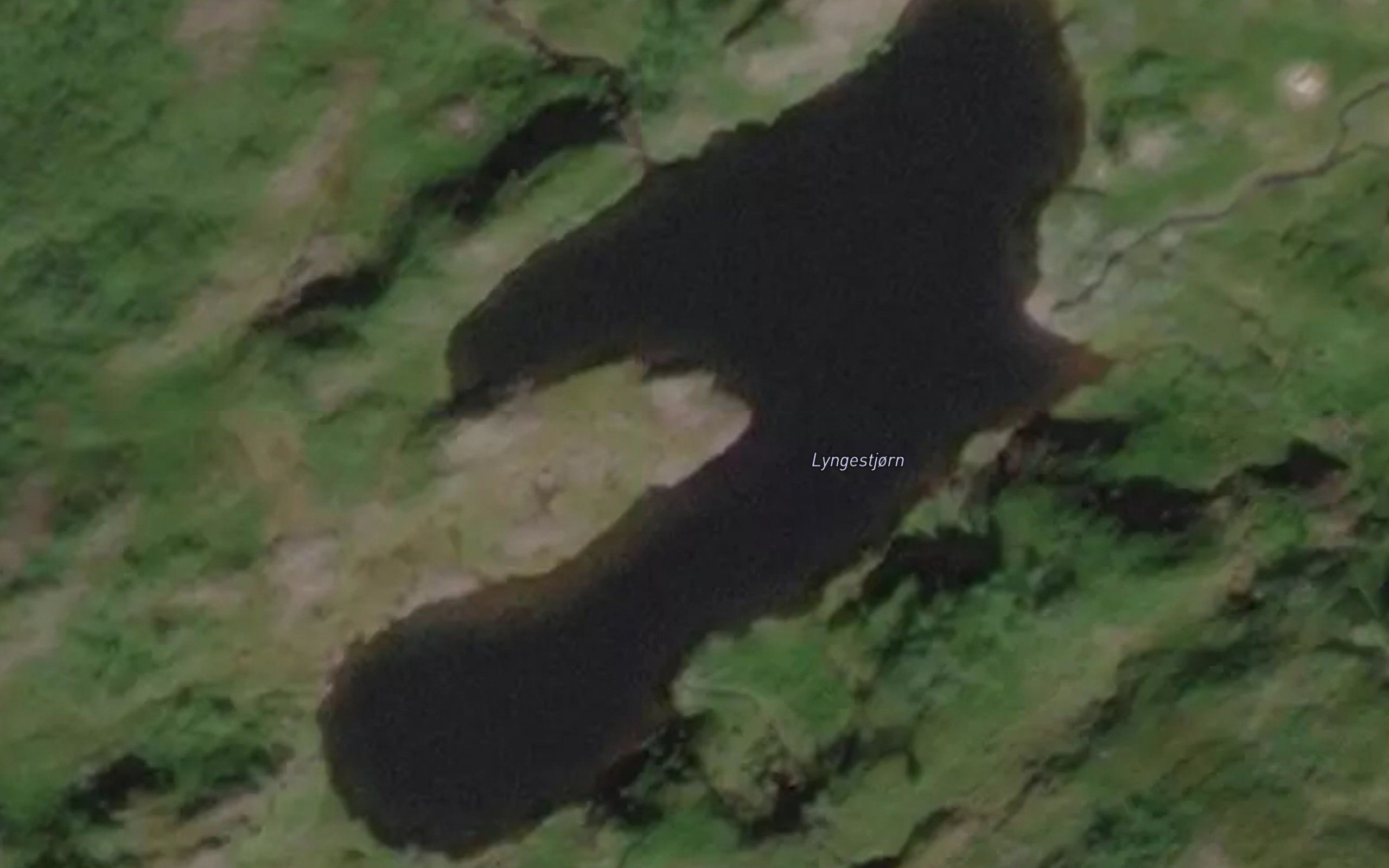 Lyngerstjorn