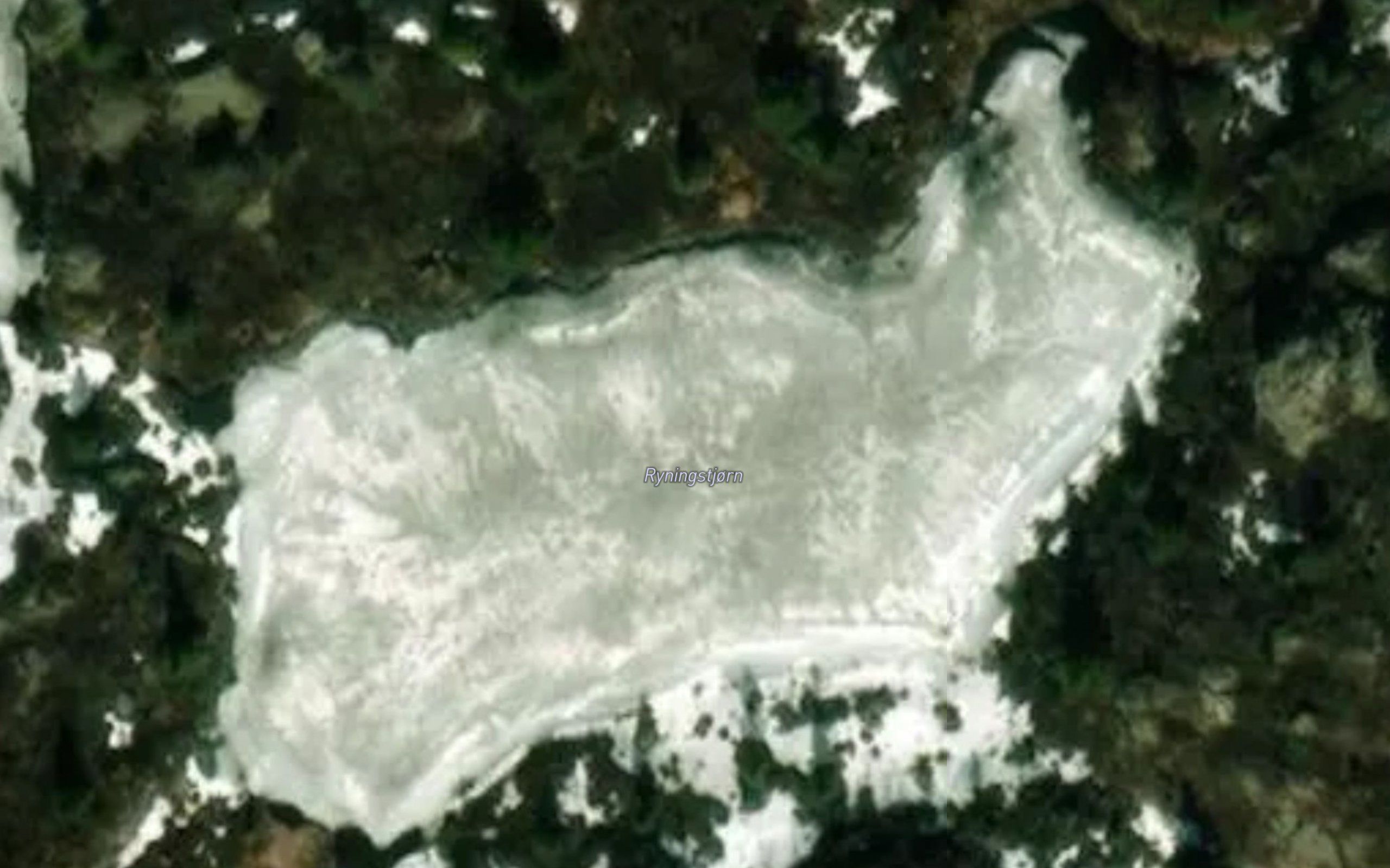 Ryningstjorn