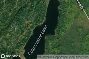 Cotoneaster Lake