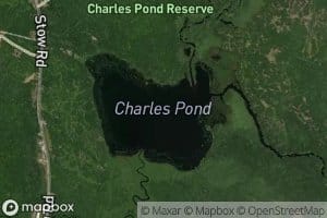 Charles Pond