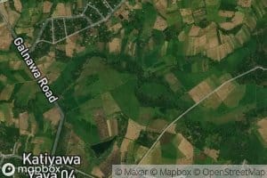 Meda Wewa