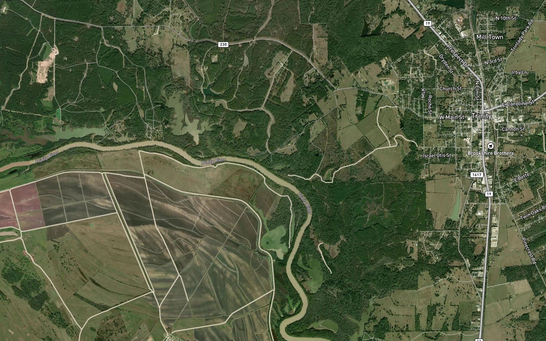 Satellite map of the Baggy Branch