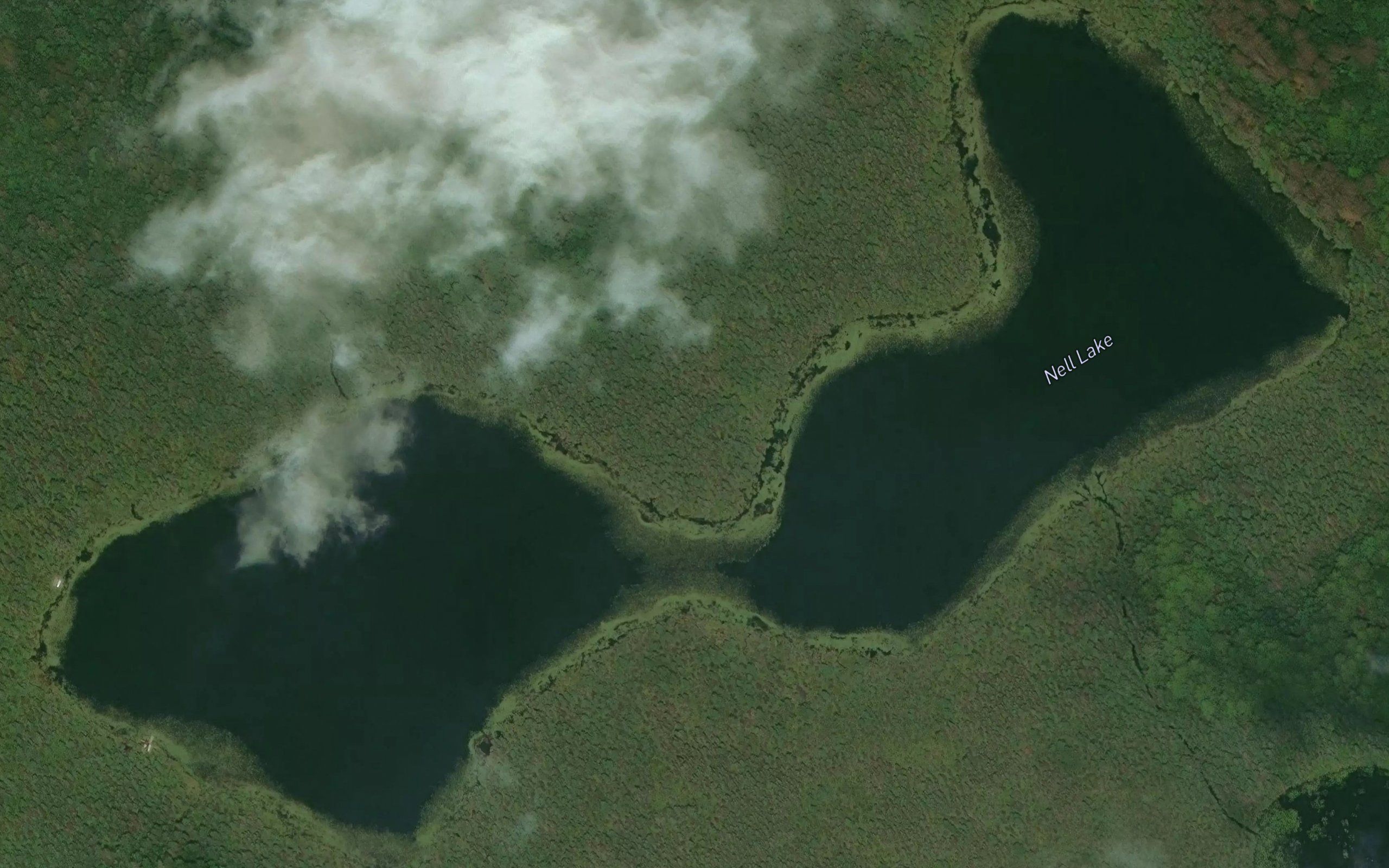 Nell Lake