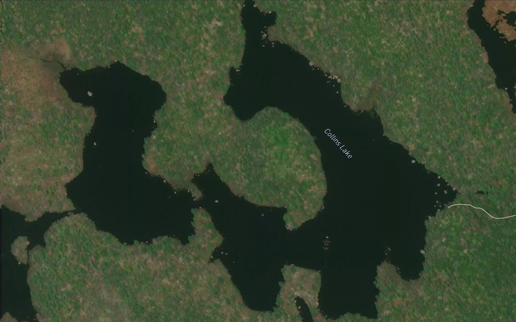 Satellite map of the Collins Lake