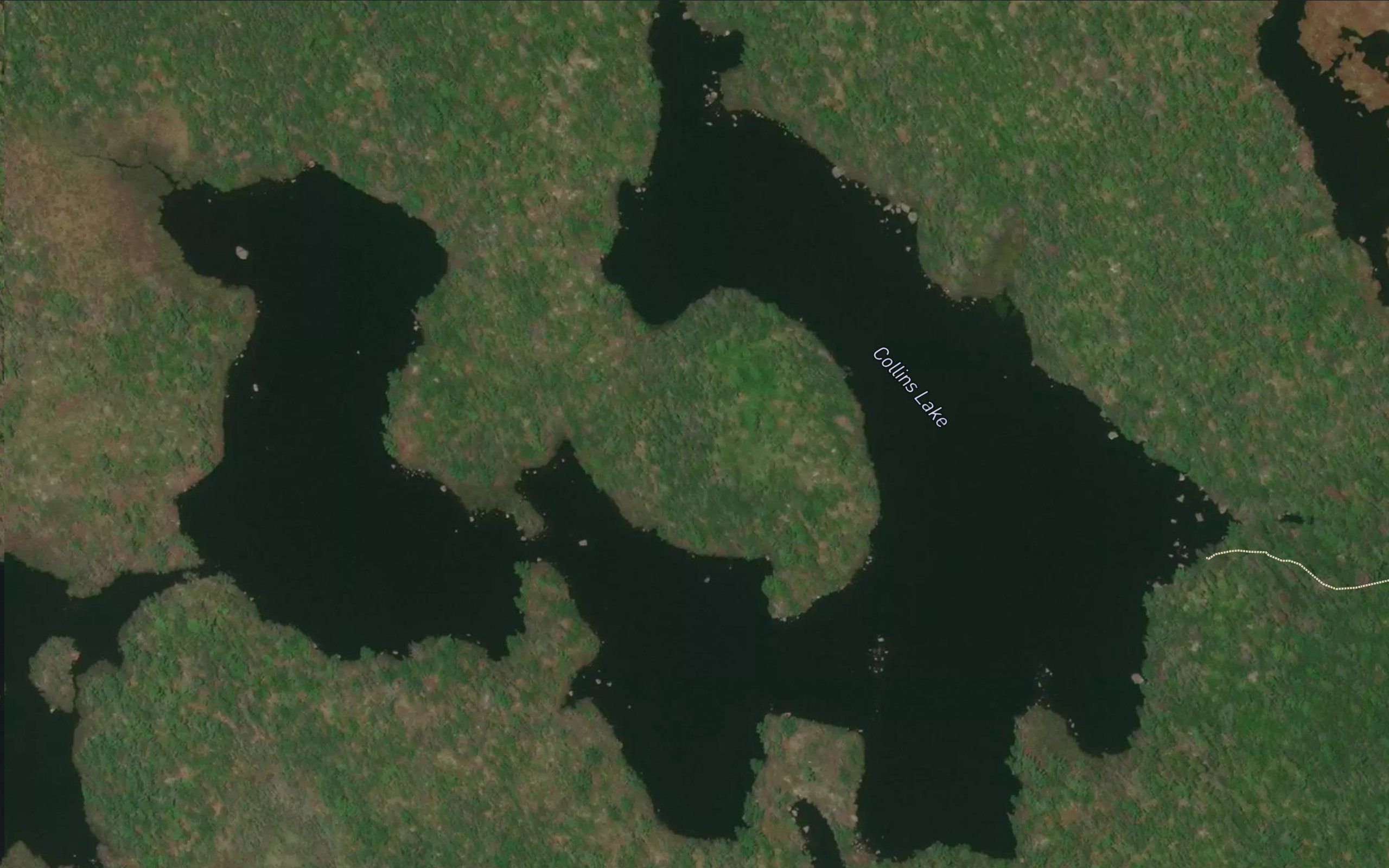 Collins Lake
