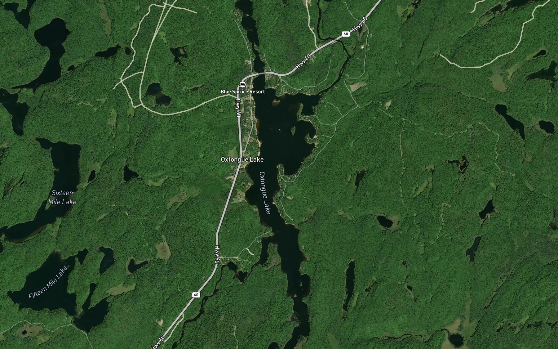 Satellite map of the Oxtongue Lake