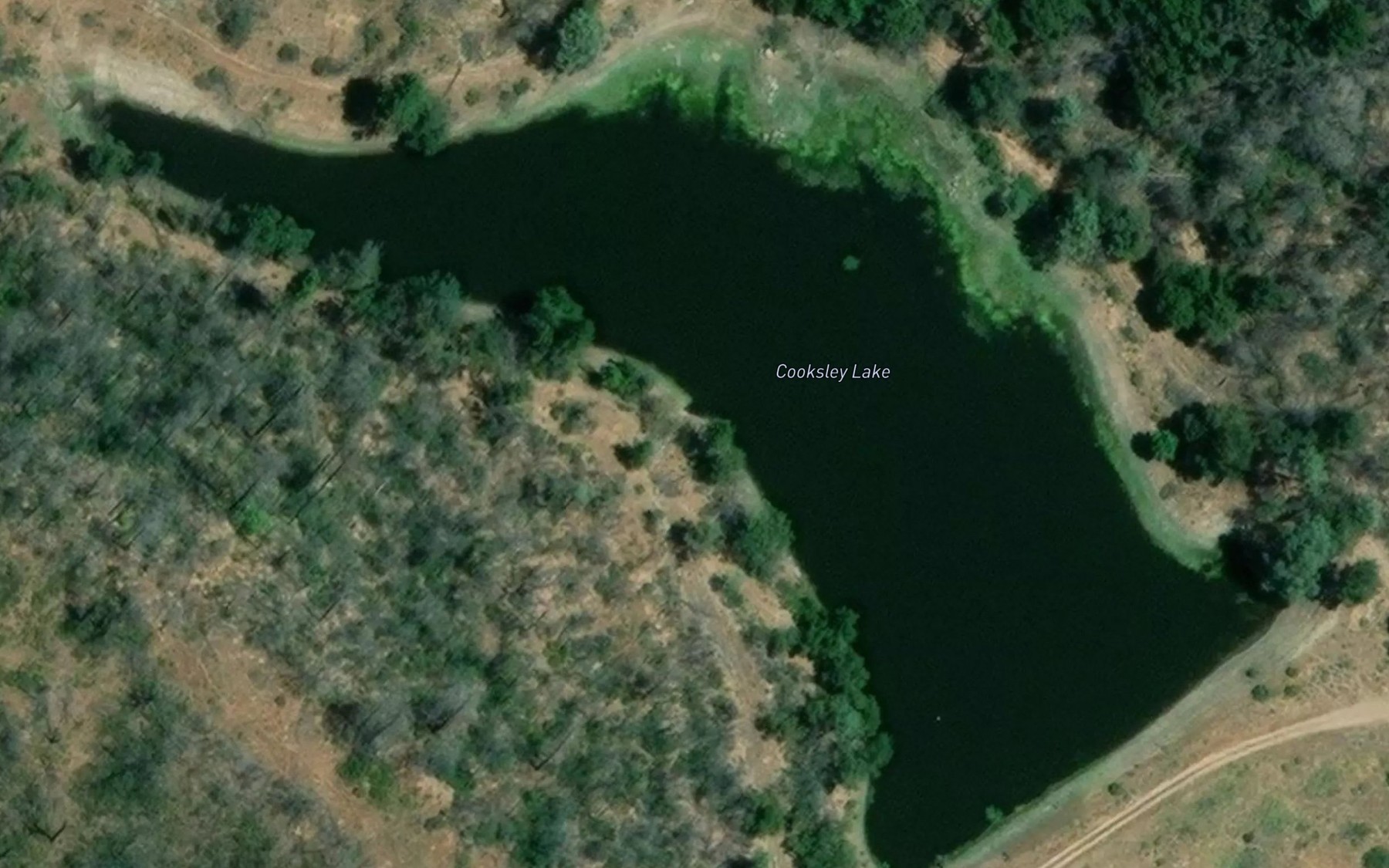 Satellite map of the Cooksley Lake