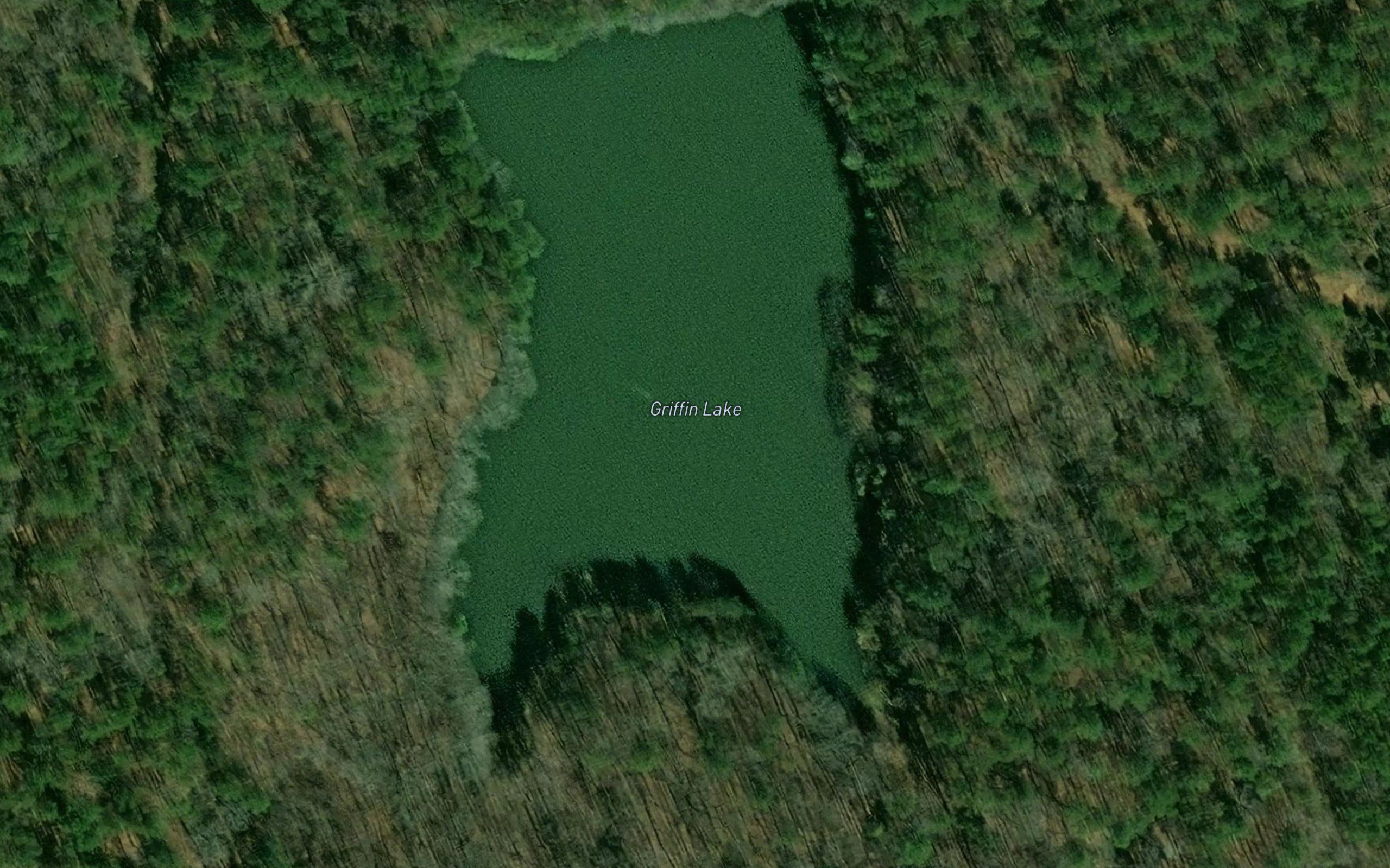 Griffin Lake