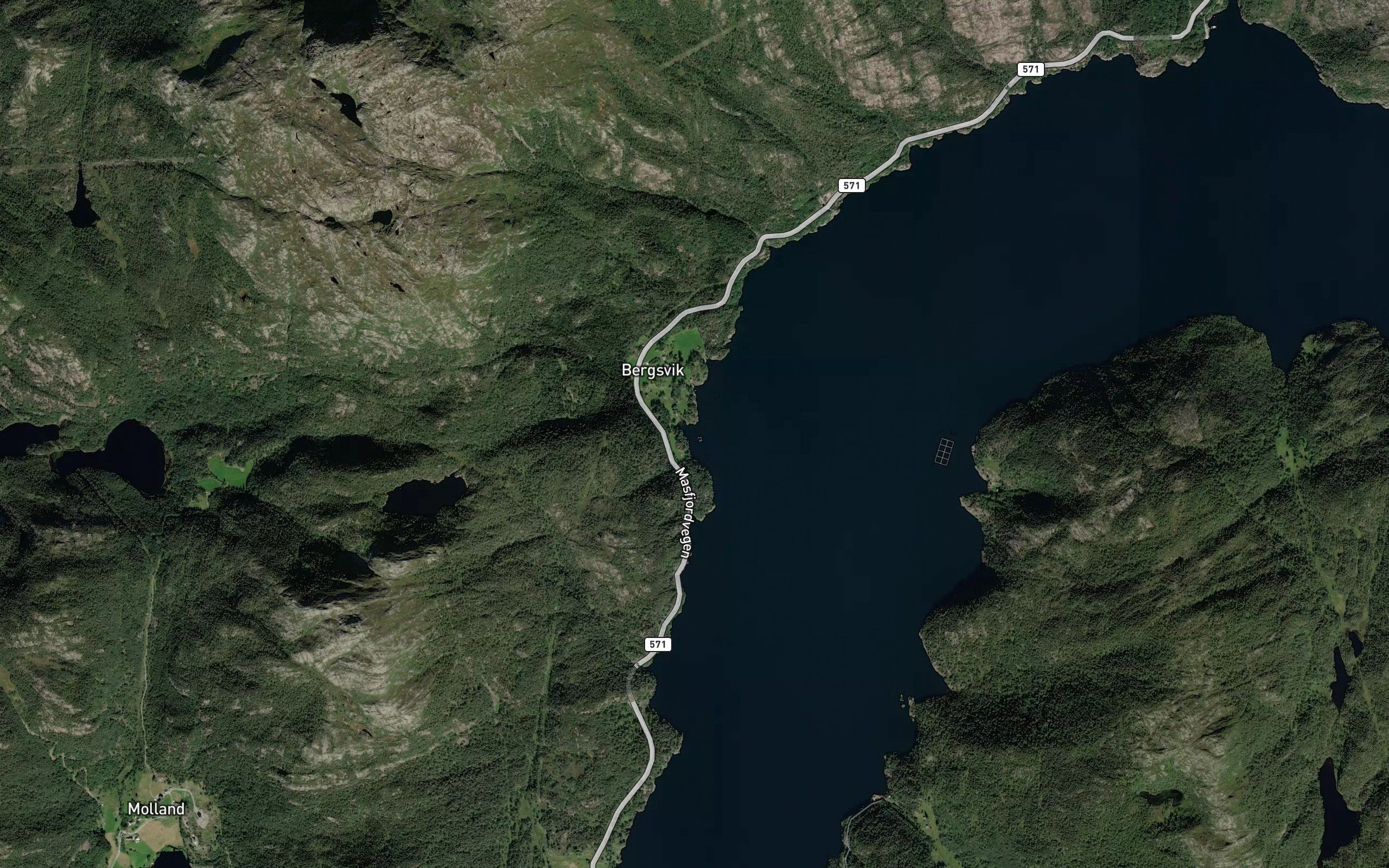 Sagevika