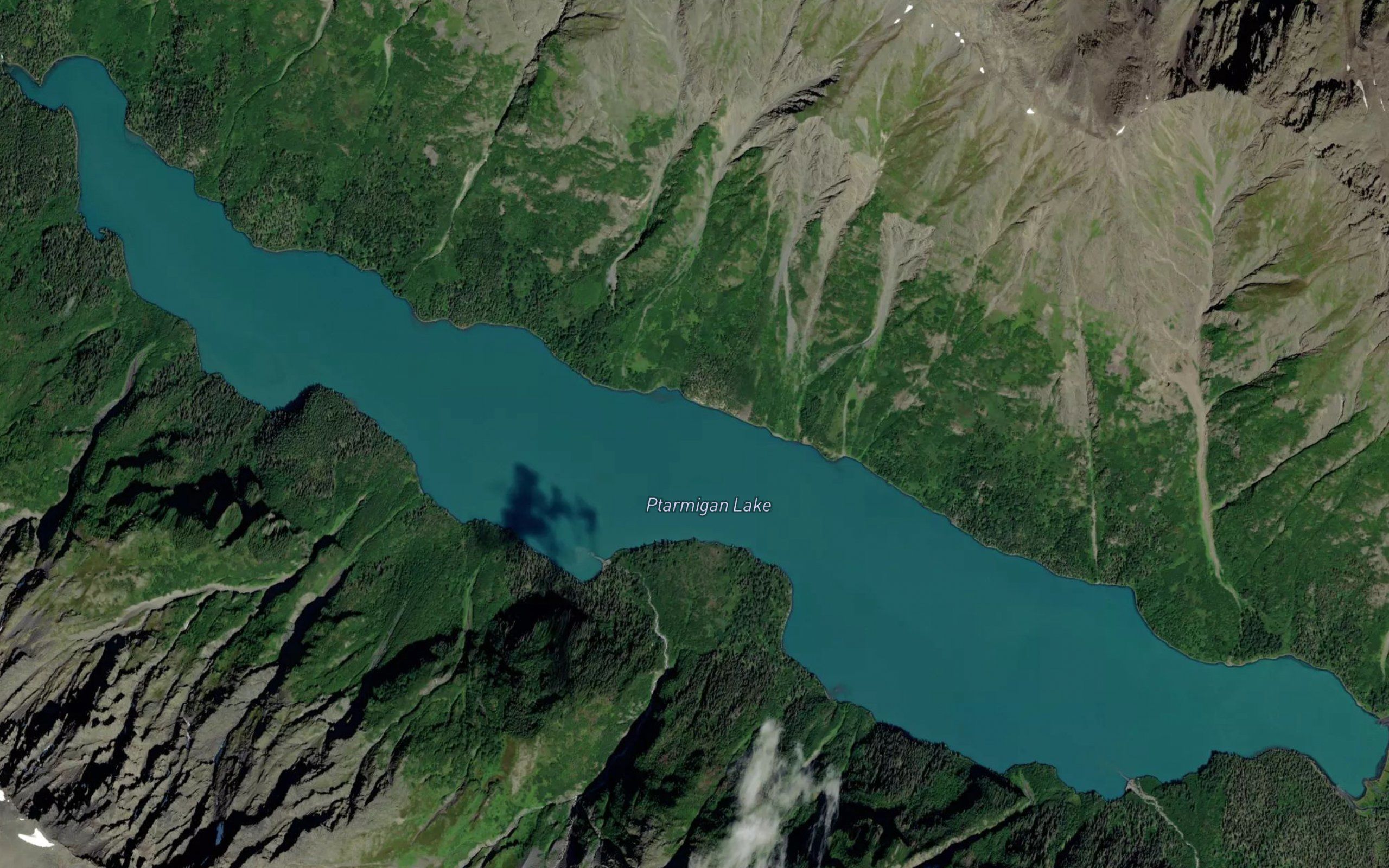 Ptarmigan Lake