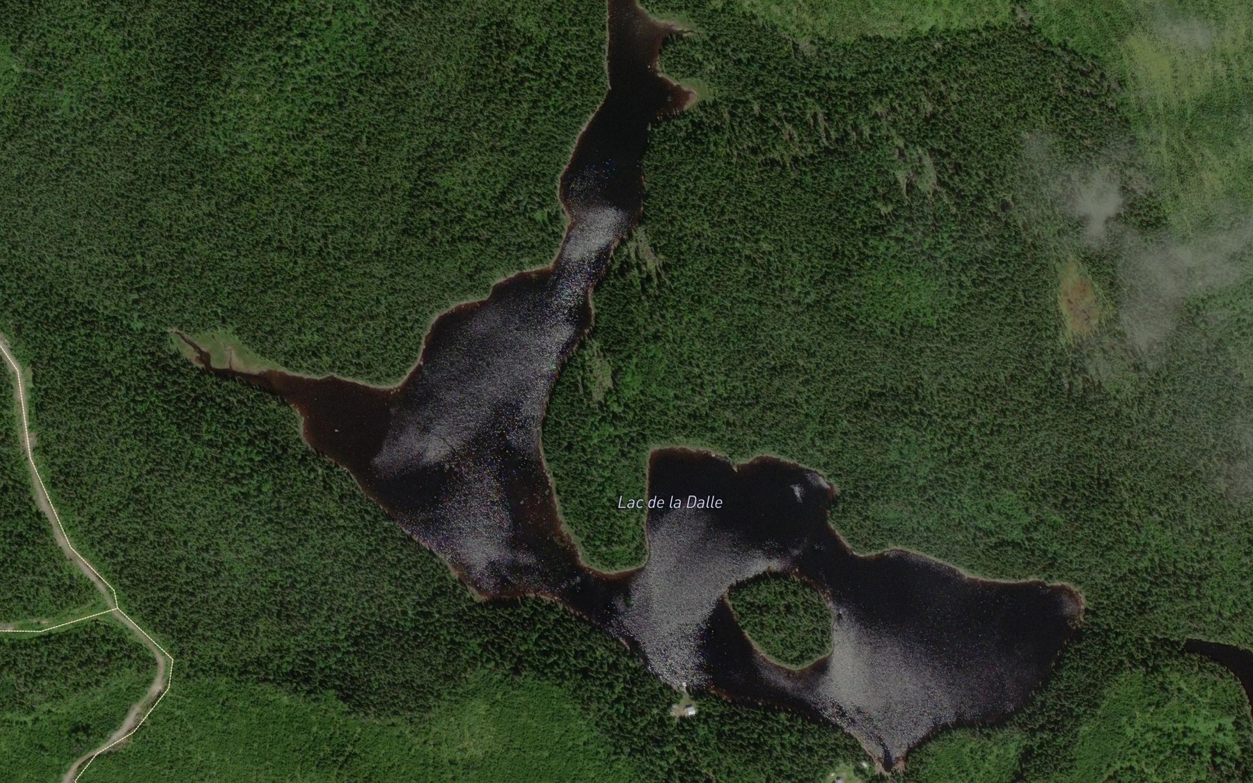 Satellite map of the Lac dela Dalle