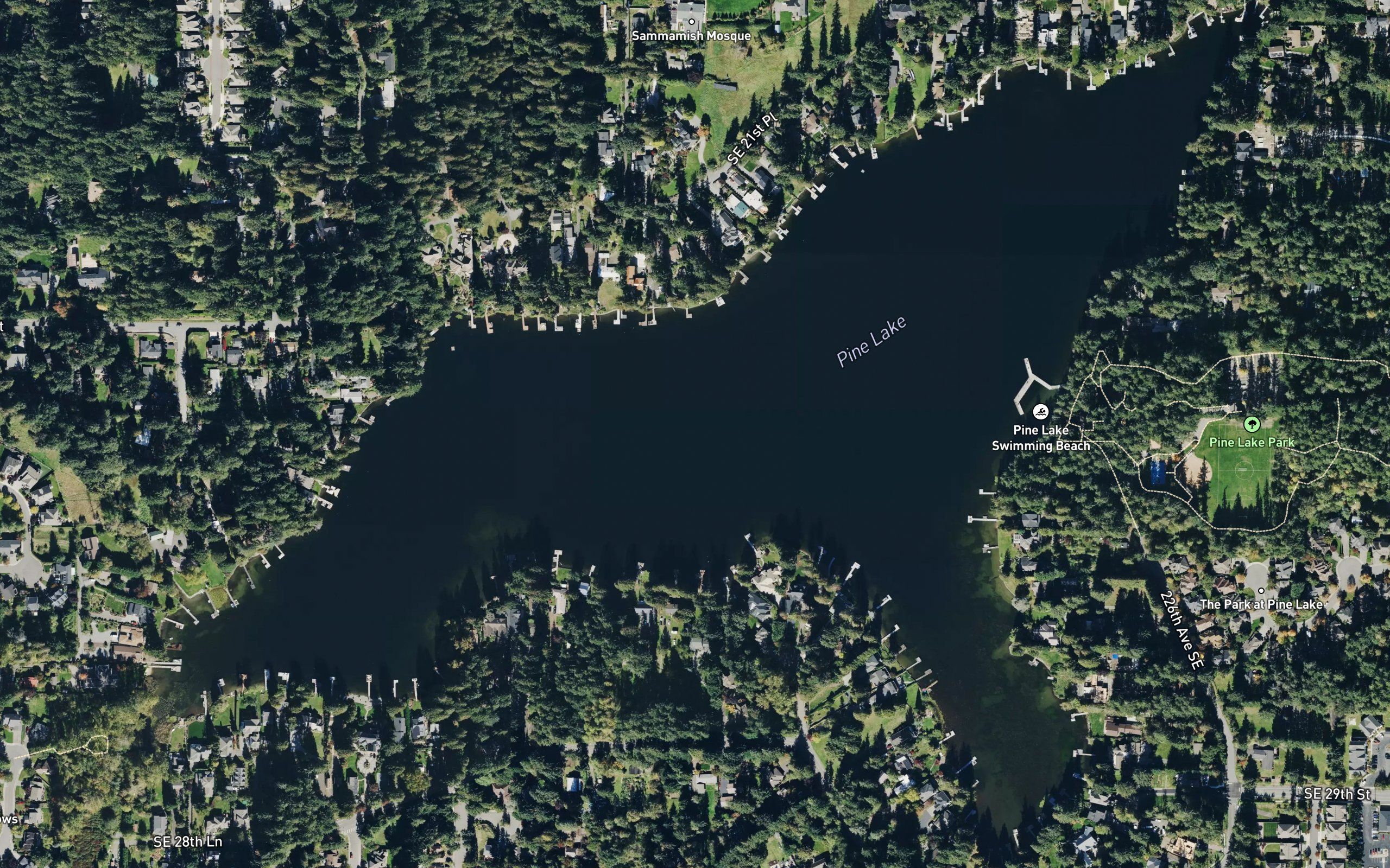 Pine Lake