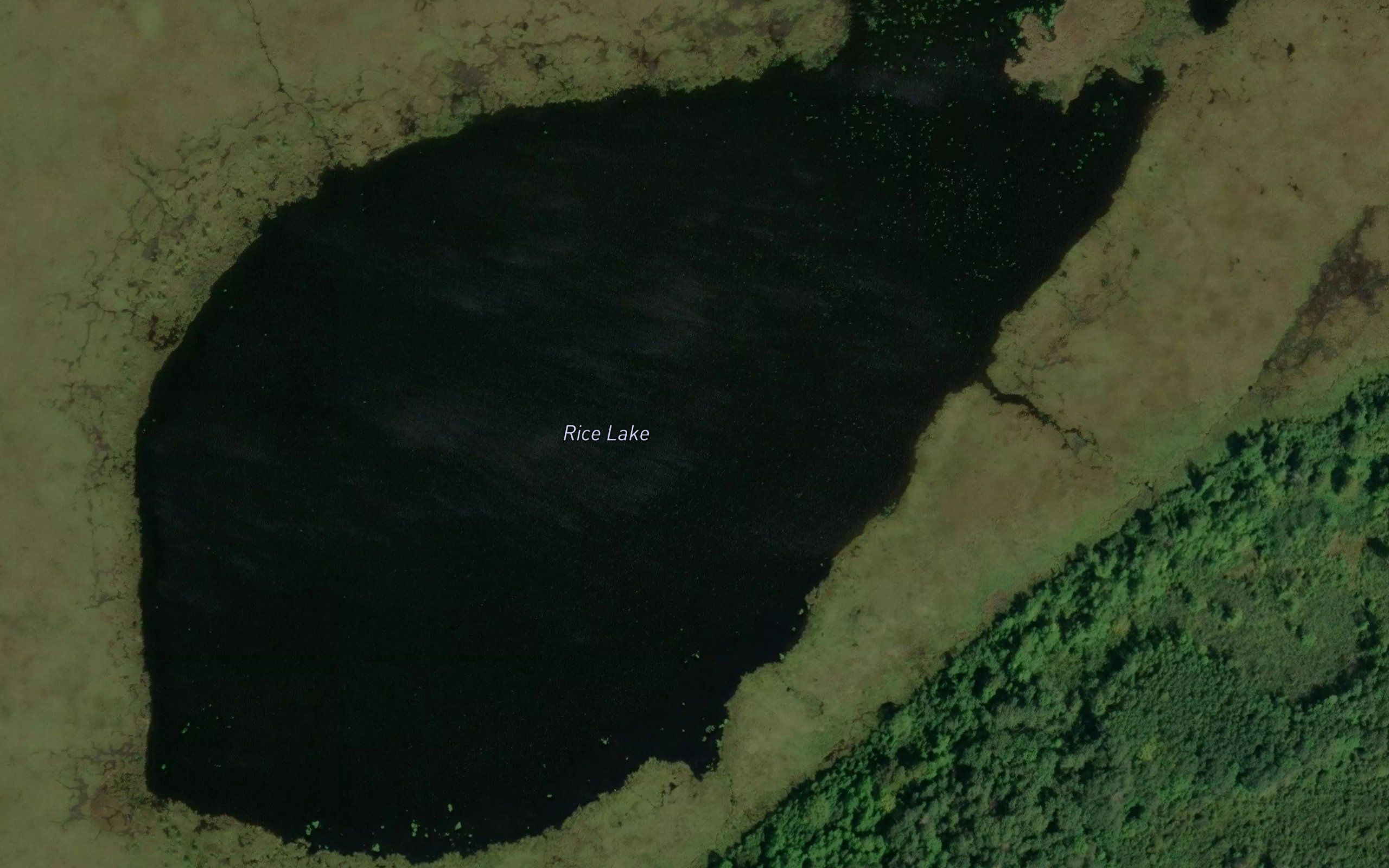Rice Lake