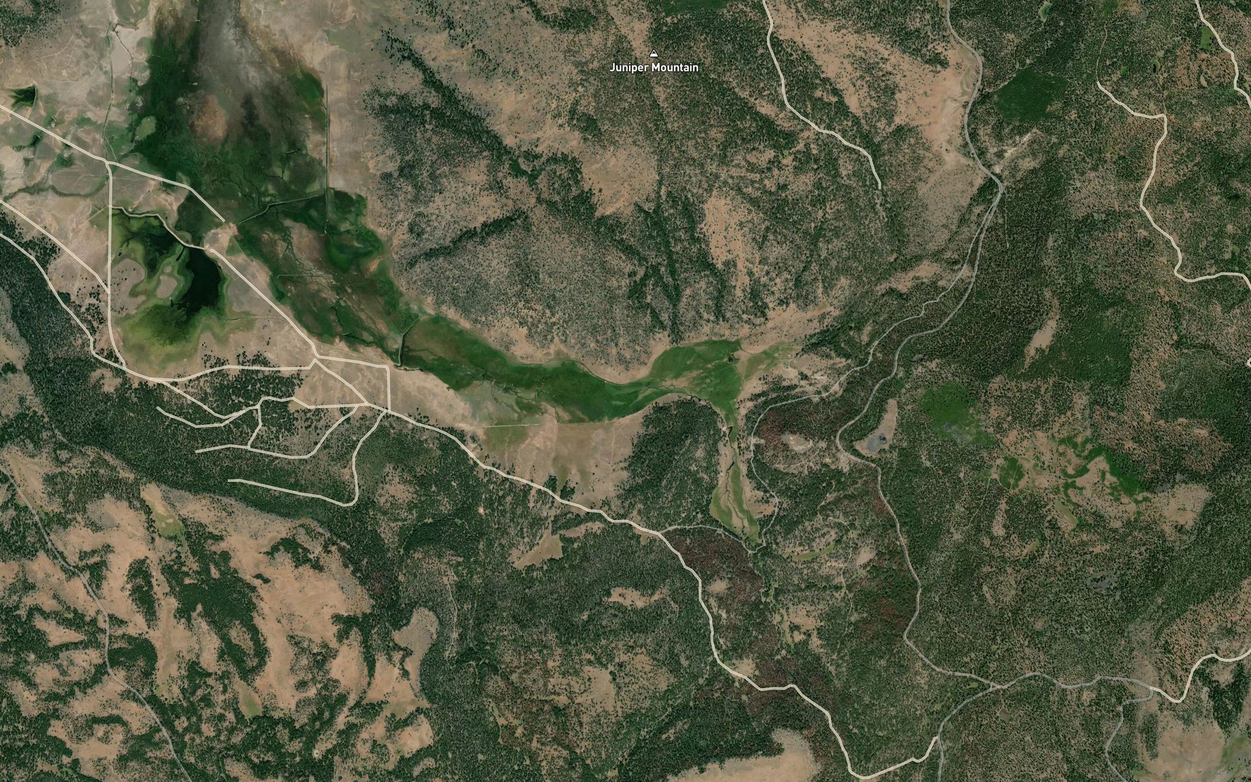 Bachelor Creek