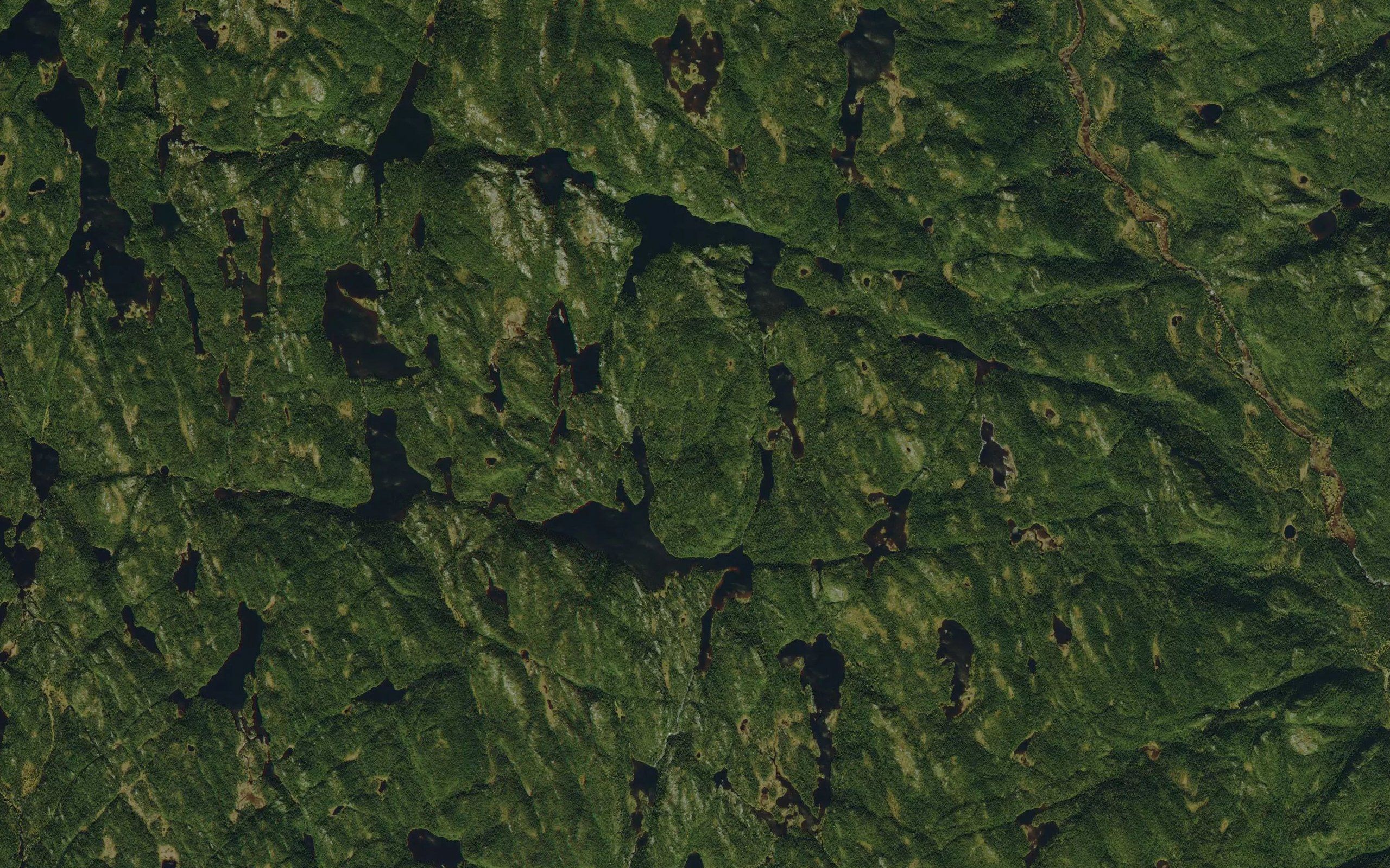 Ruisseau au Castor