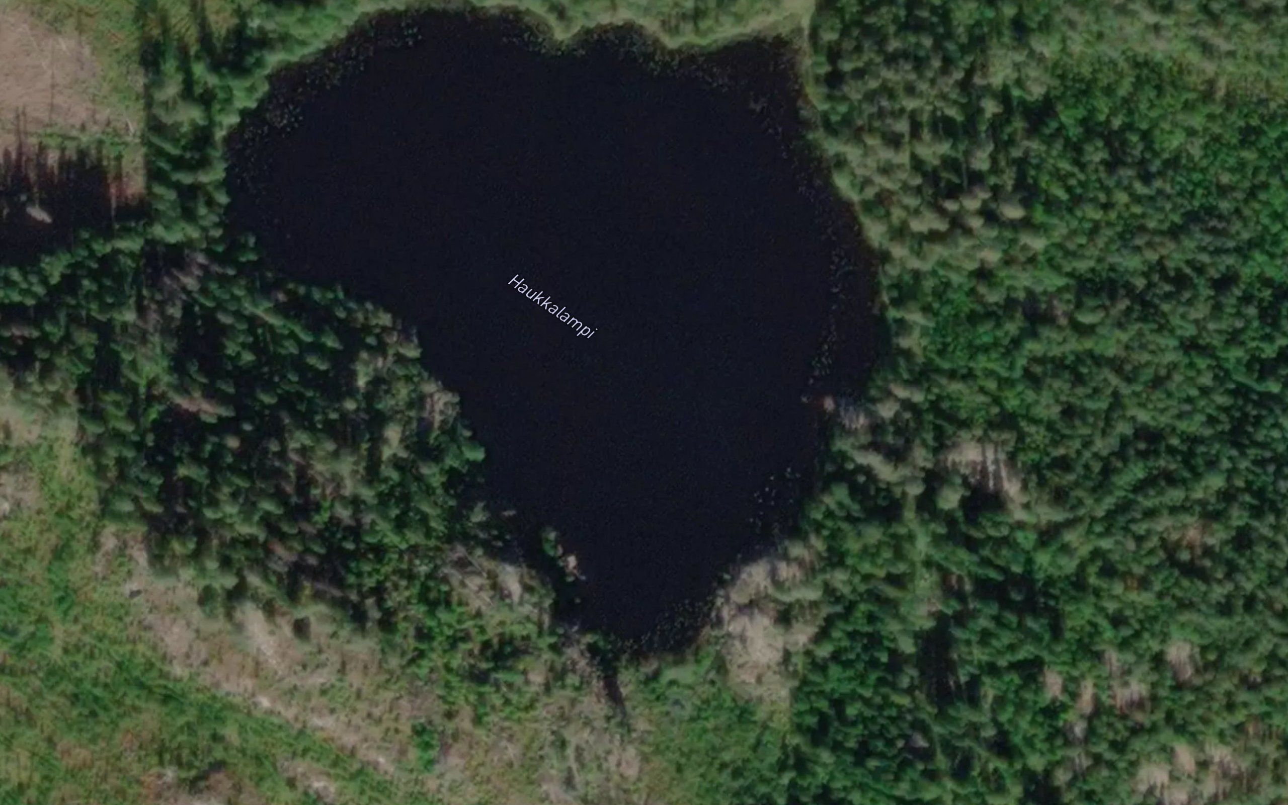 Haukkalampi