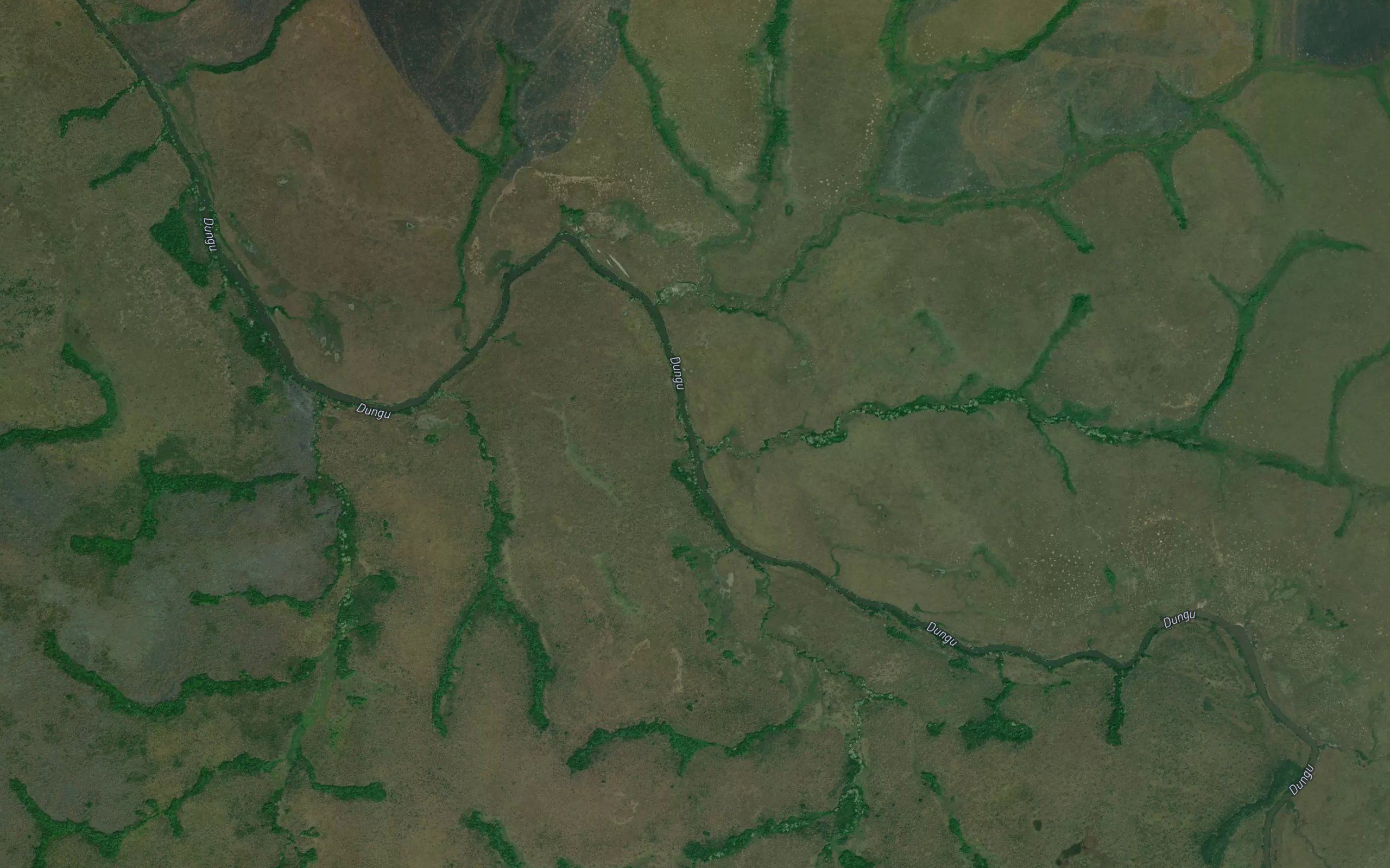 Naurukenge
