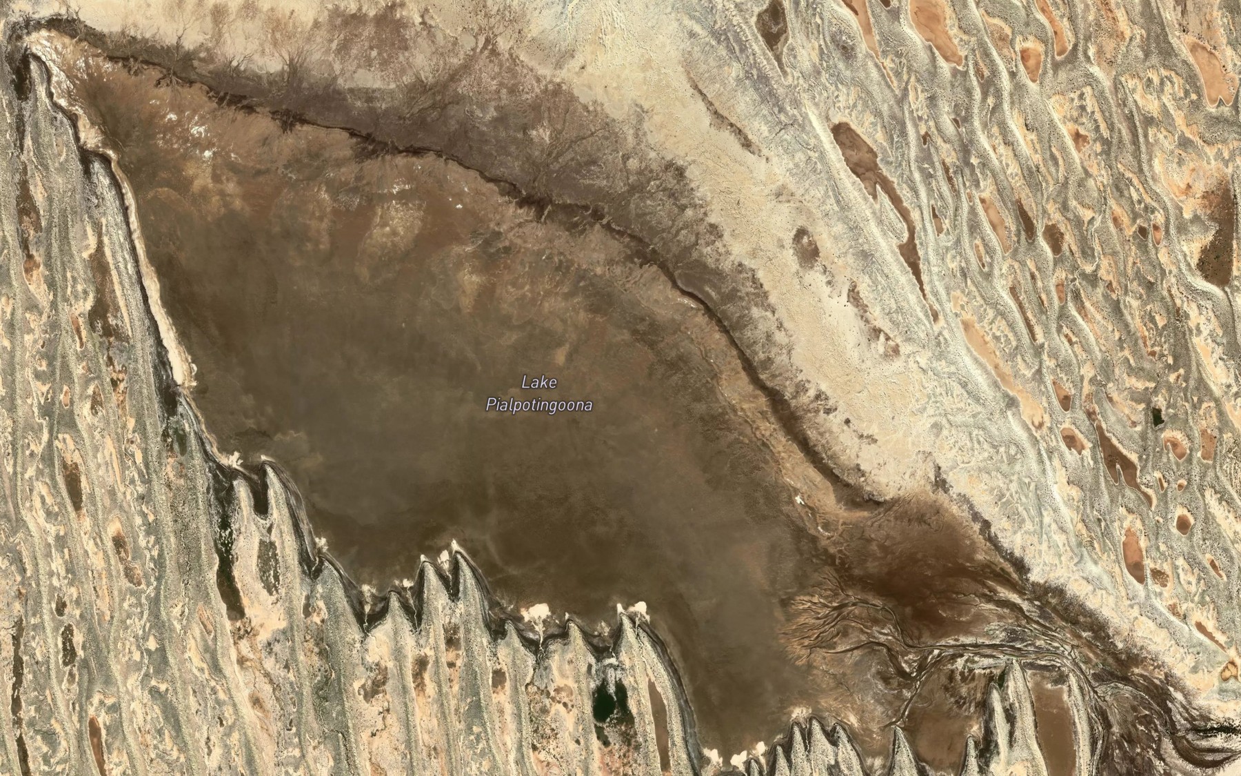Satellite map of the Lake Pialpotingoona