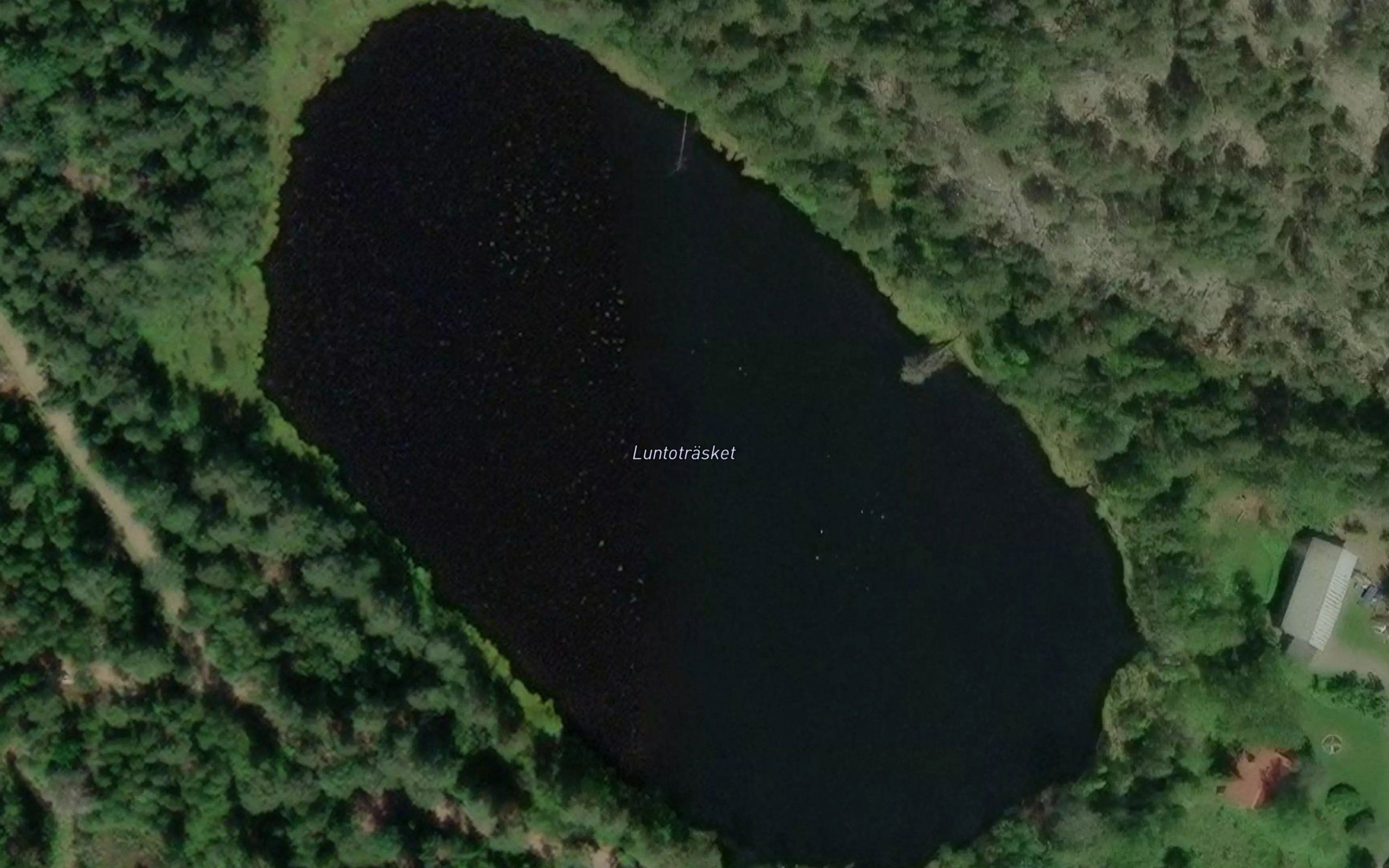 Luntotrasket