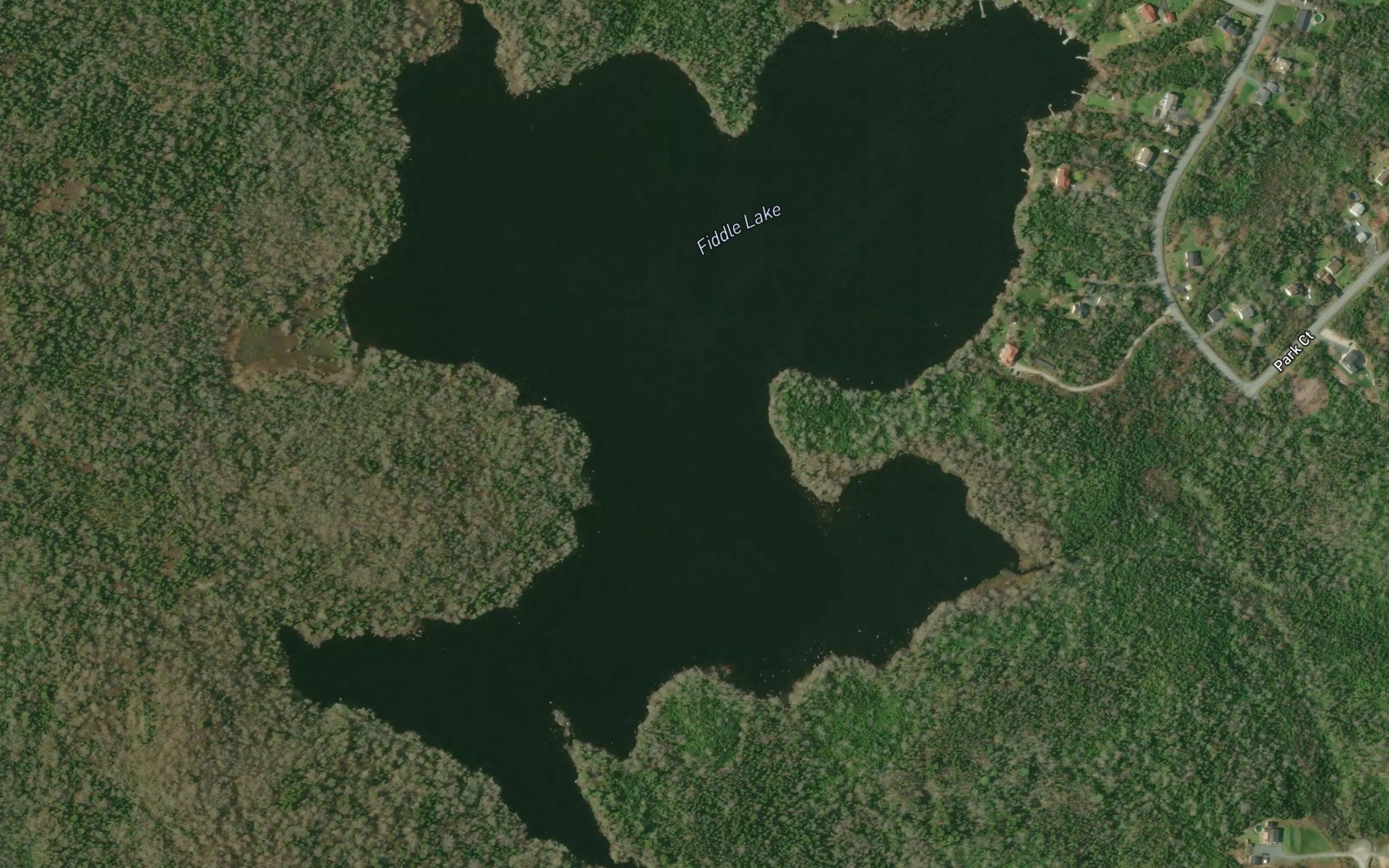 Fiddle Lake