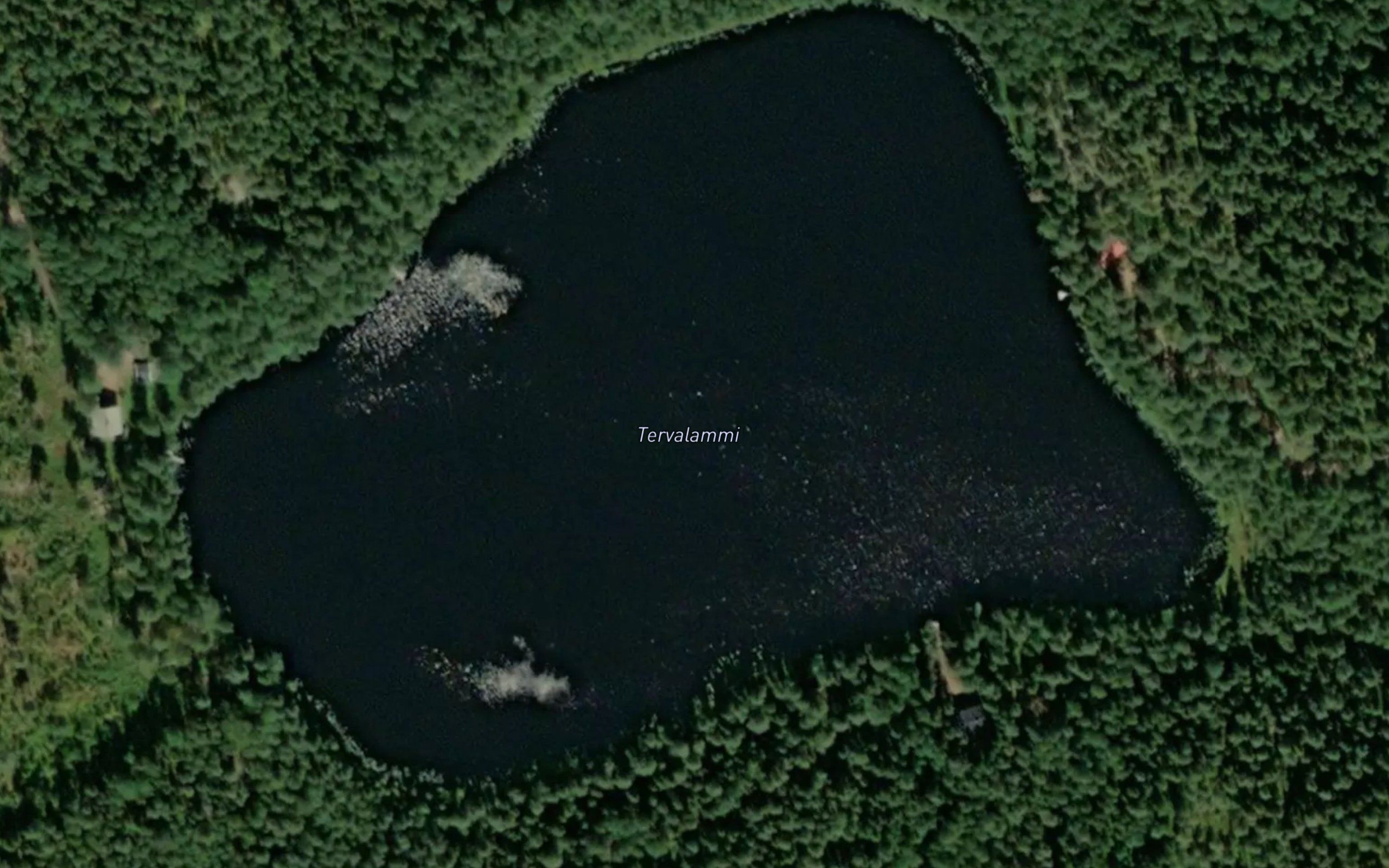 Tervalammi