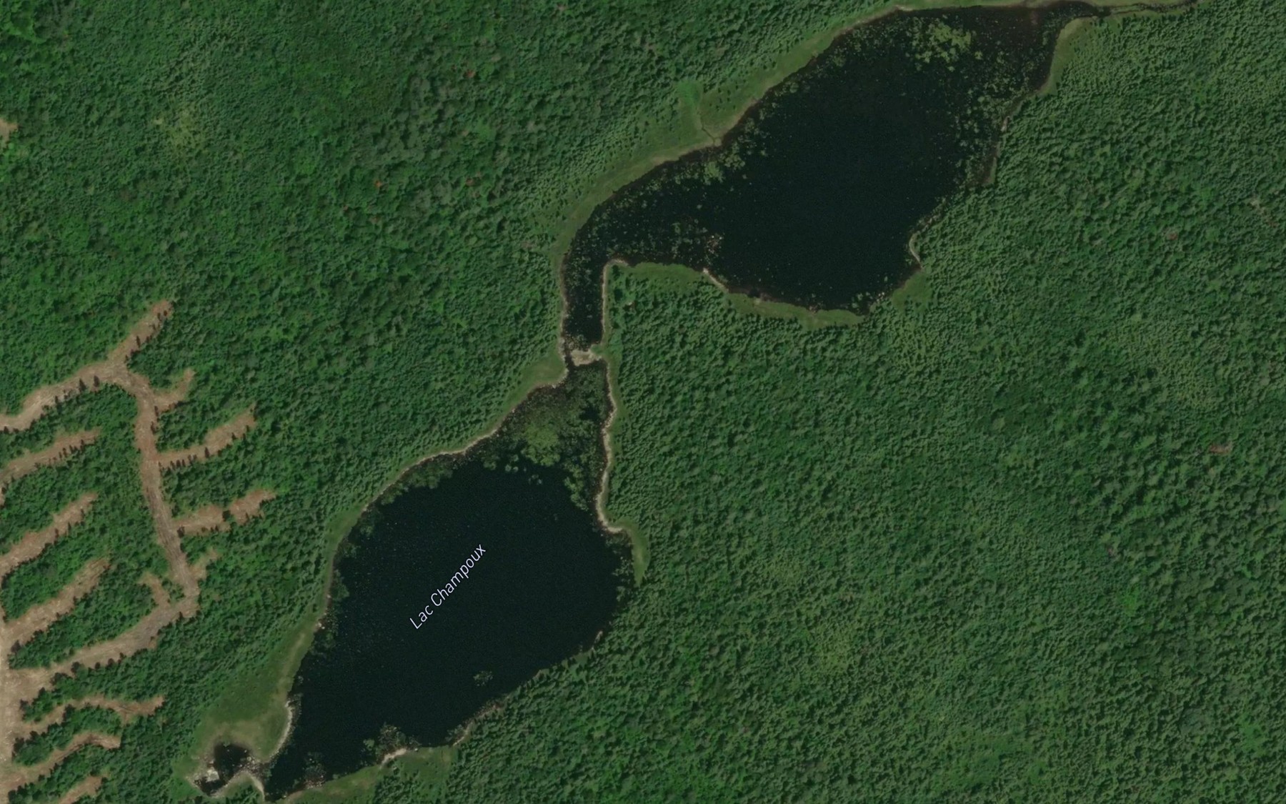 Satellite map of the Lac Champoux