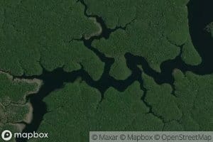 Igarape Bachicuzinho