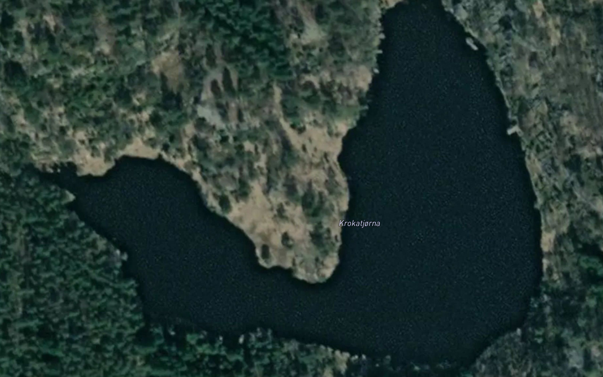 Kroktjorna