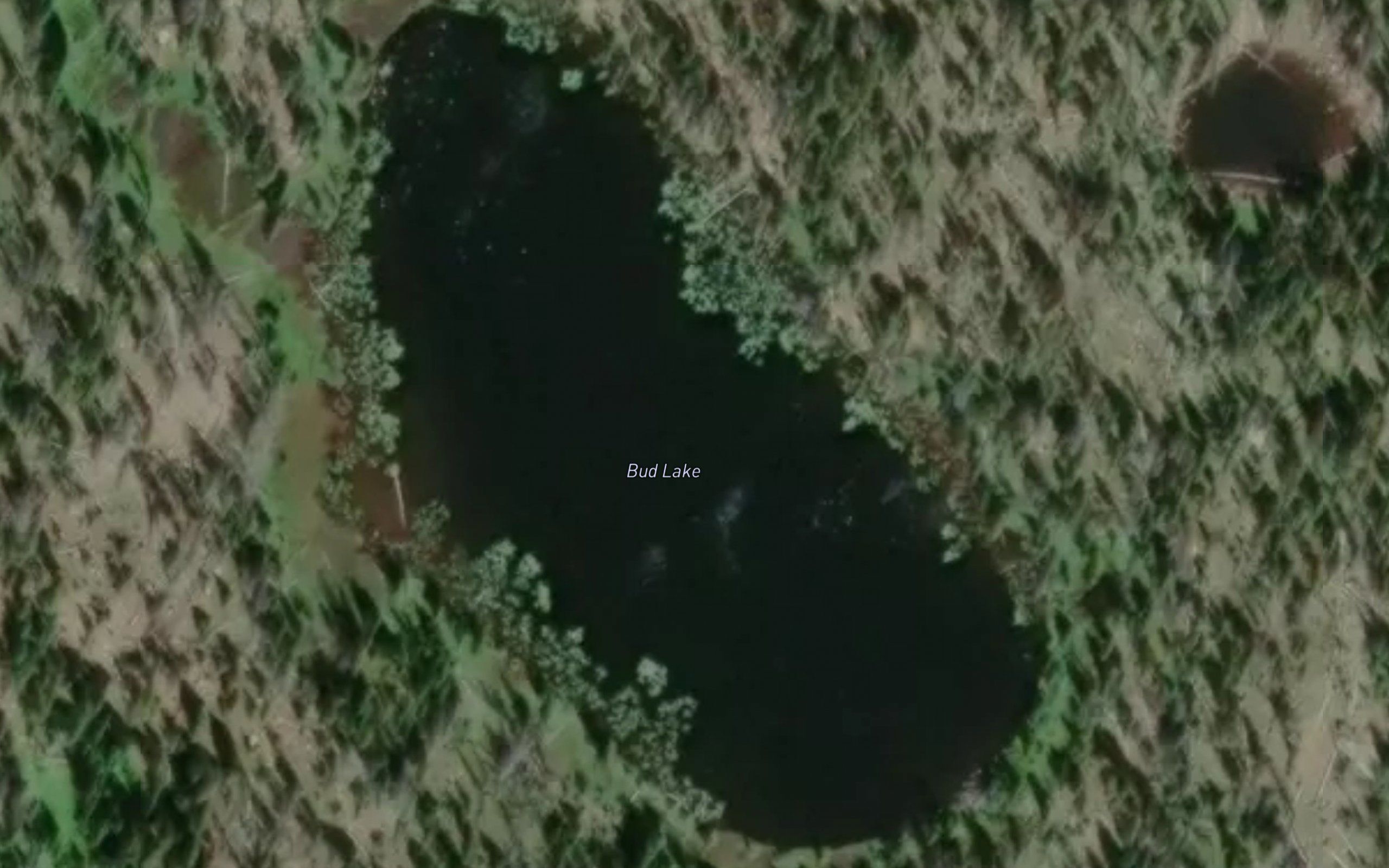 Bud Lake